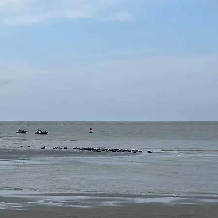 à 50m Rêves De Les Bains De