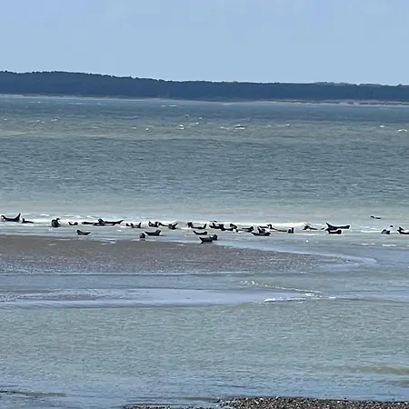 Апартаменты A 50m Reves De Les Bains De *